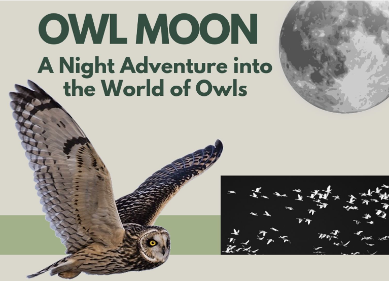 Owl Moon: A Night Adventure into the World of Owls