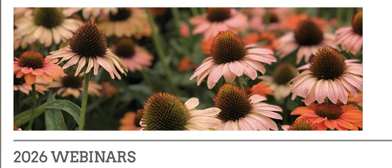 2025 “Best Of” Plants from the CSU Trial Gardens