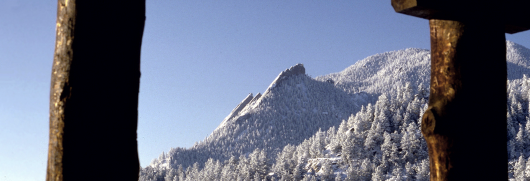 Snow Stories: Climate, Culture, and Winter Resilience from Yamagata to Boulder