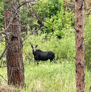 Fourmile Community Action Fair!
