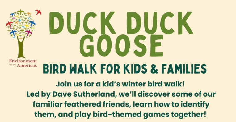 Duck Duck Goose! Birdwatching Fun for Families