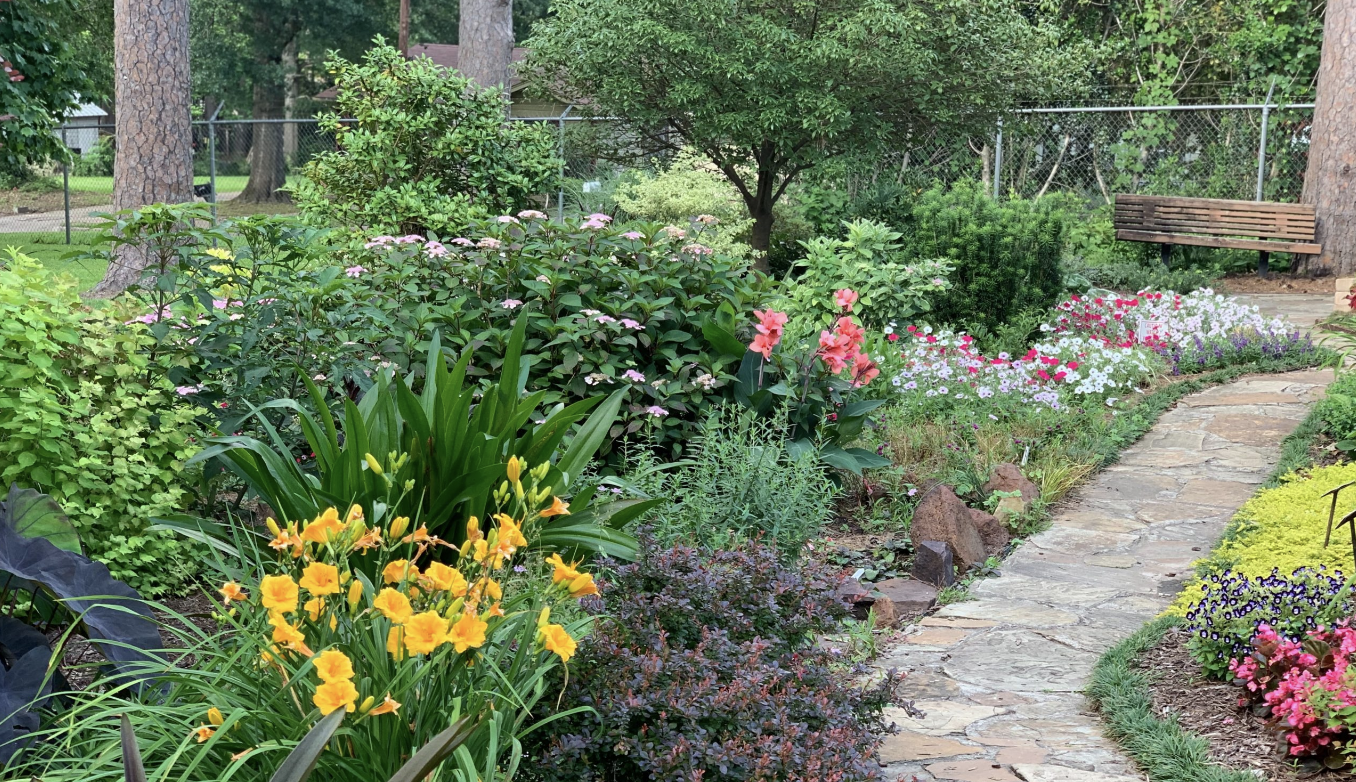 Garden Planning and Design for Produce, Planet and Pollinators