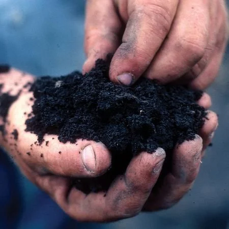 Building Soil Fertility 