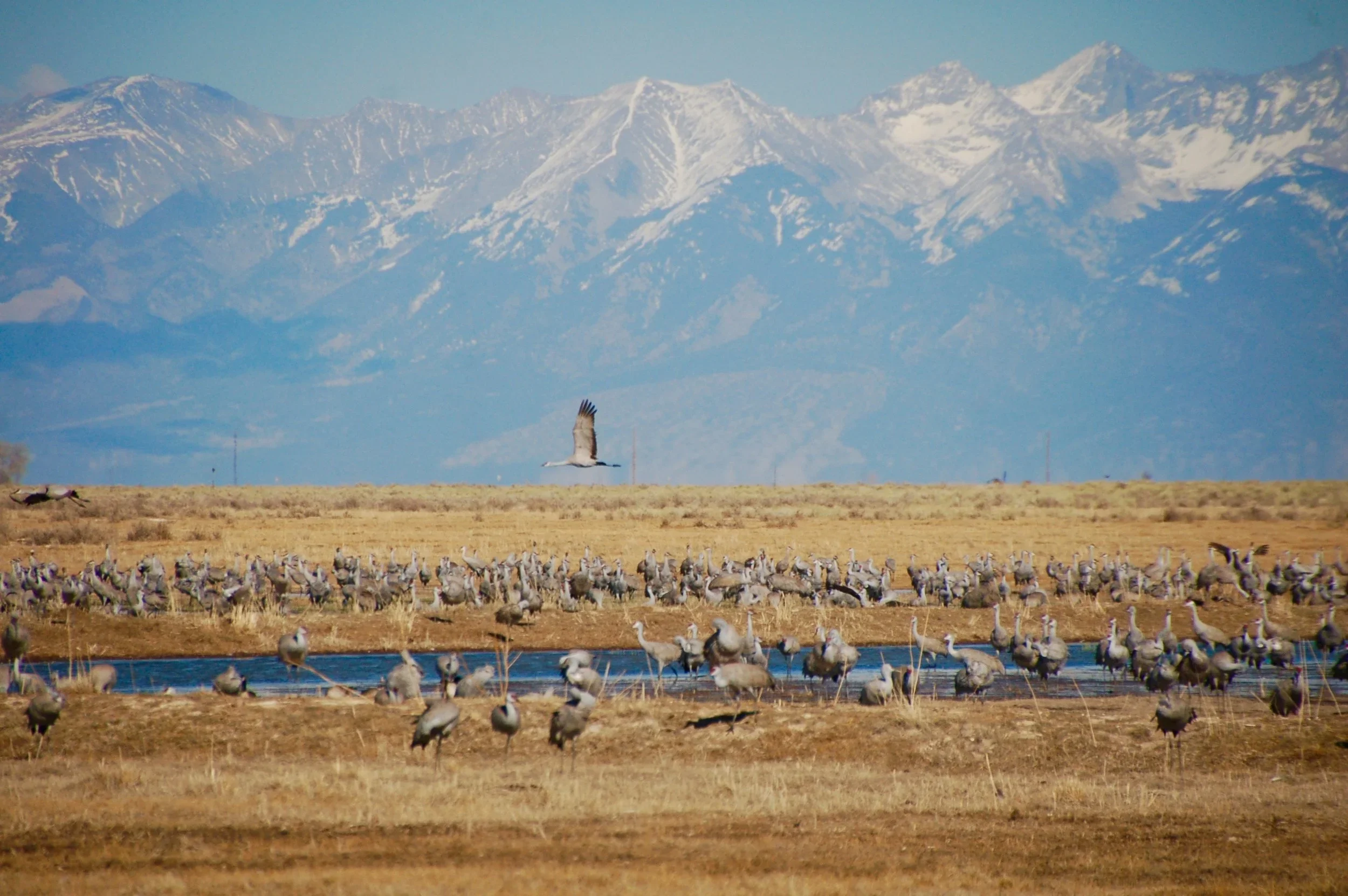 Why Private Land Conservation Matters