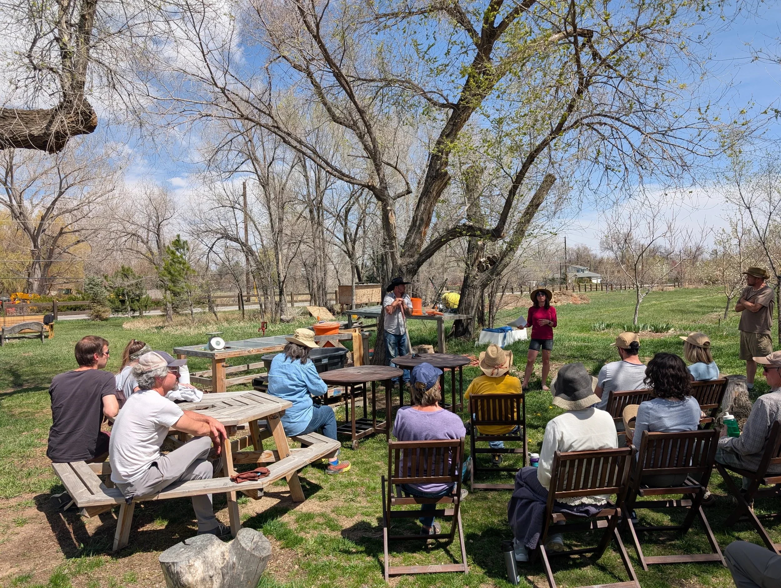 Learn to Grow Your Own Fruit Trees
