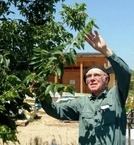 Spring Pruning, with Mikl Brawner