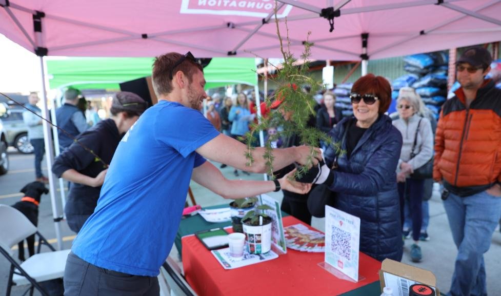 Tree Seedling Giveaway