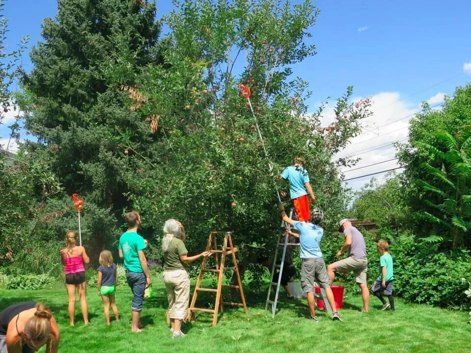 Springtime Fruit Tree Care Workshop