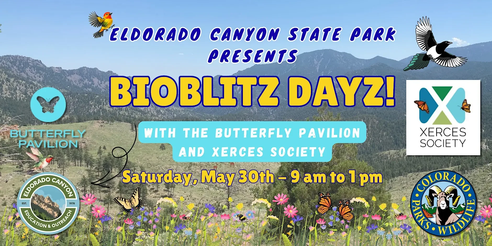 Eldorado Canyon State Park BioBlitz Dayz!