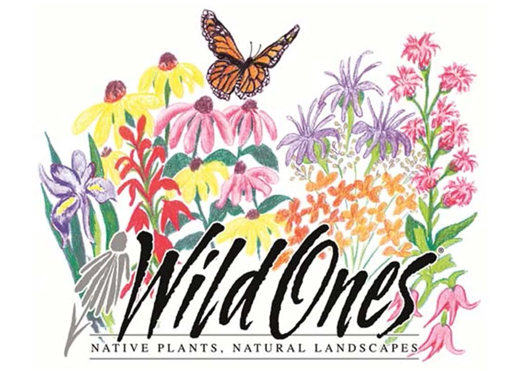 Getting Started with Natives, with Ayn Schmit & Deb Lebow-Aal