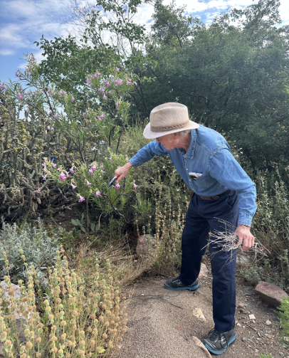 Fall Pruning, with Mikl Brawner