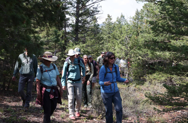 Public Forests Today and Tomorrow: A Guided Hike