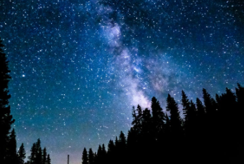 Dark Skies and Bird Migration