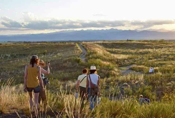 Watching Grass Grow: A Closeup Look at Prairie Ecology