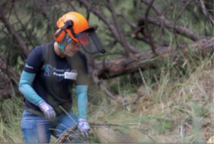 Community Volunteer Forestry Project - Forest Thinning and Fuels Reduction