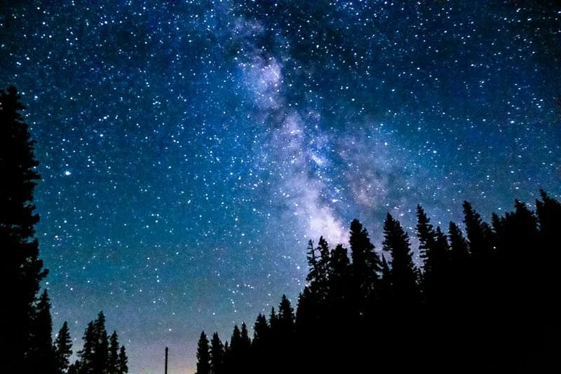 Dark Skies and Bird Migration 