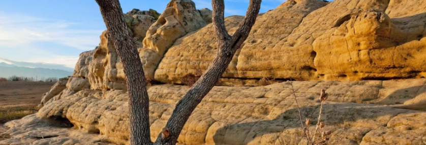 Out in Nature: Lavender at White Rocks (LGBTQIA2+)
