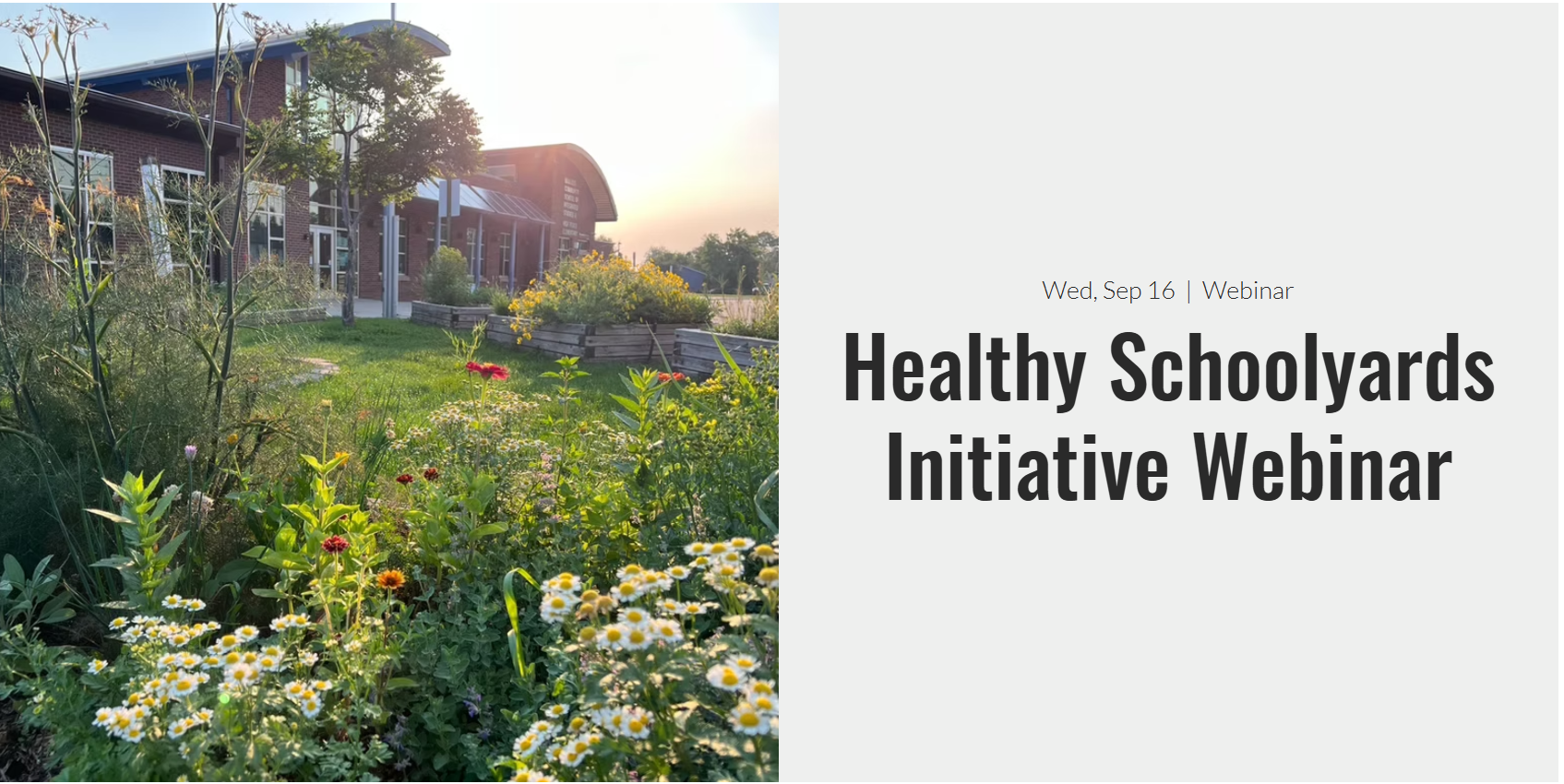Healthy Schoolyards Initiative Webinar