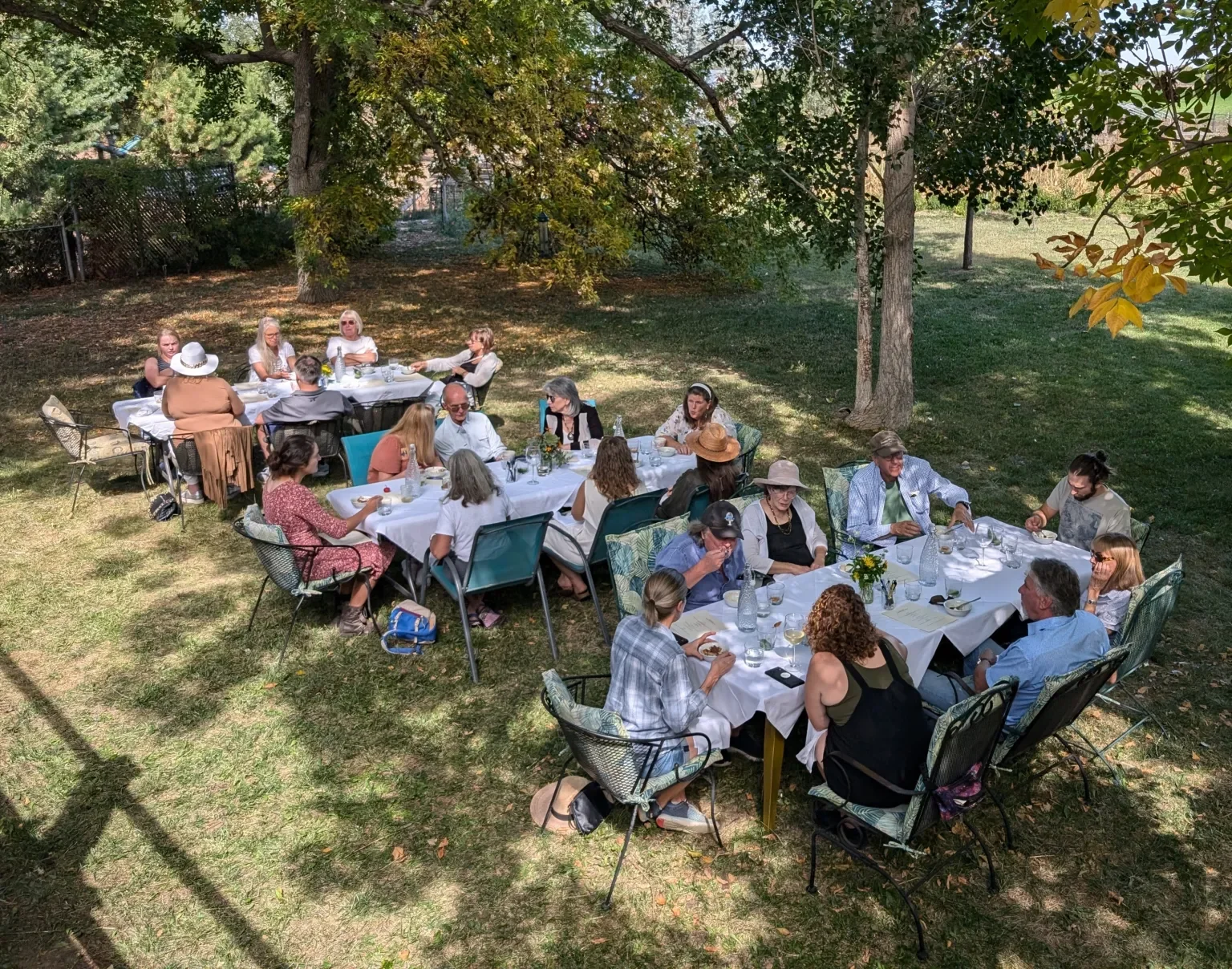 Bindweed School of Agroecology Middle School Farm to Table Brunch