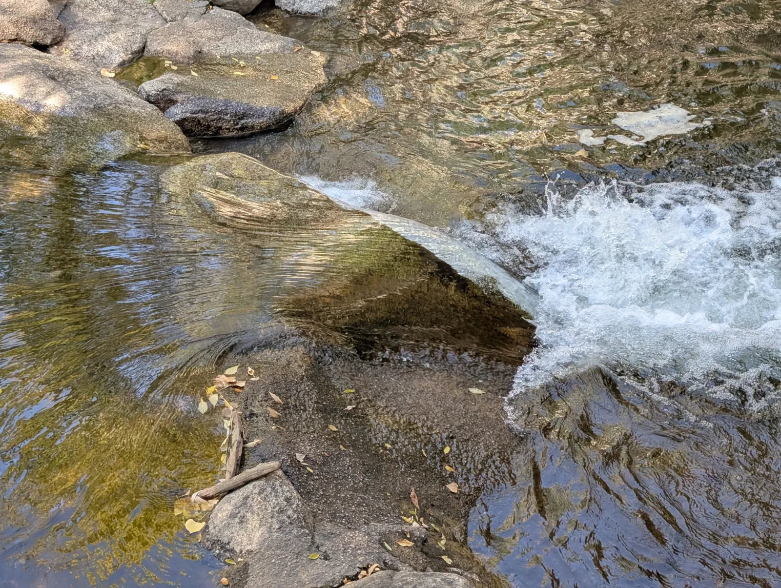 Honoring Water - A Guided Morning Practice, part of COhere 2026