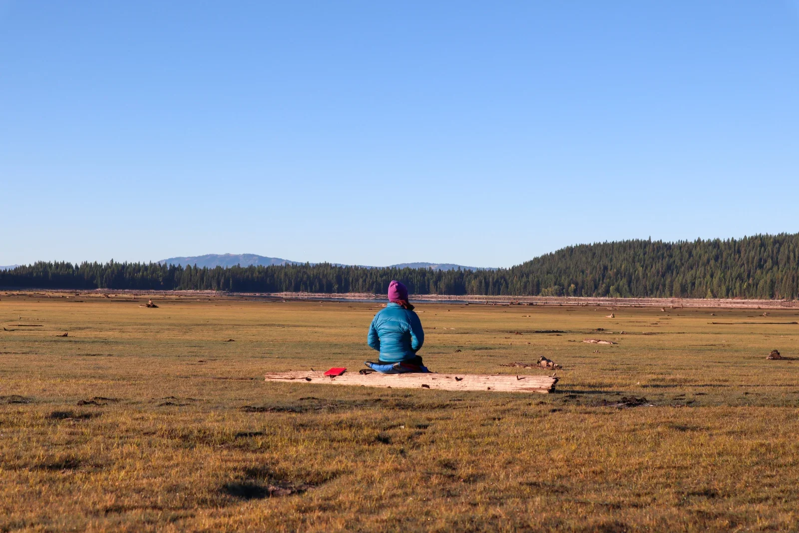 COhere - Nature Sit and Story Share