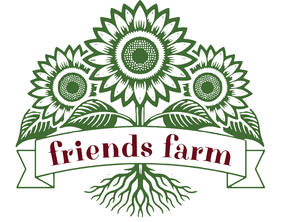 Mexican Meets Western Herbalism