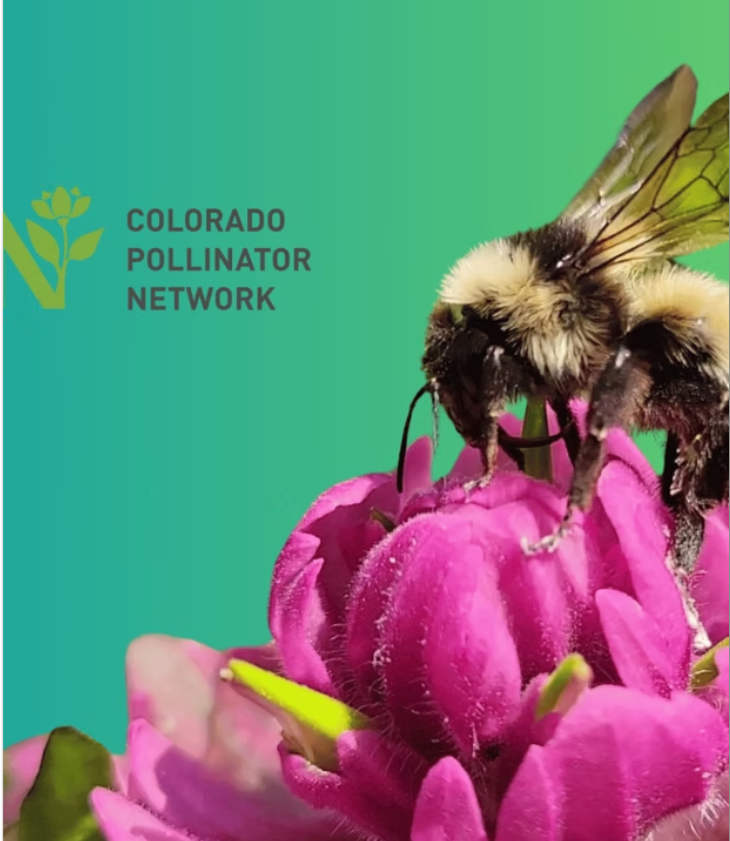 11th Annual Colorado Pollinator Summit