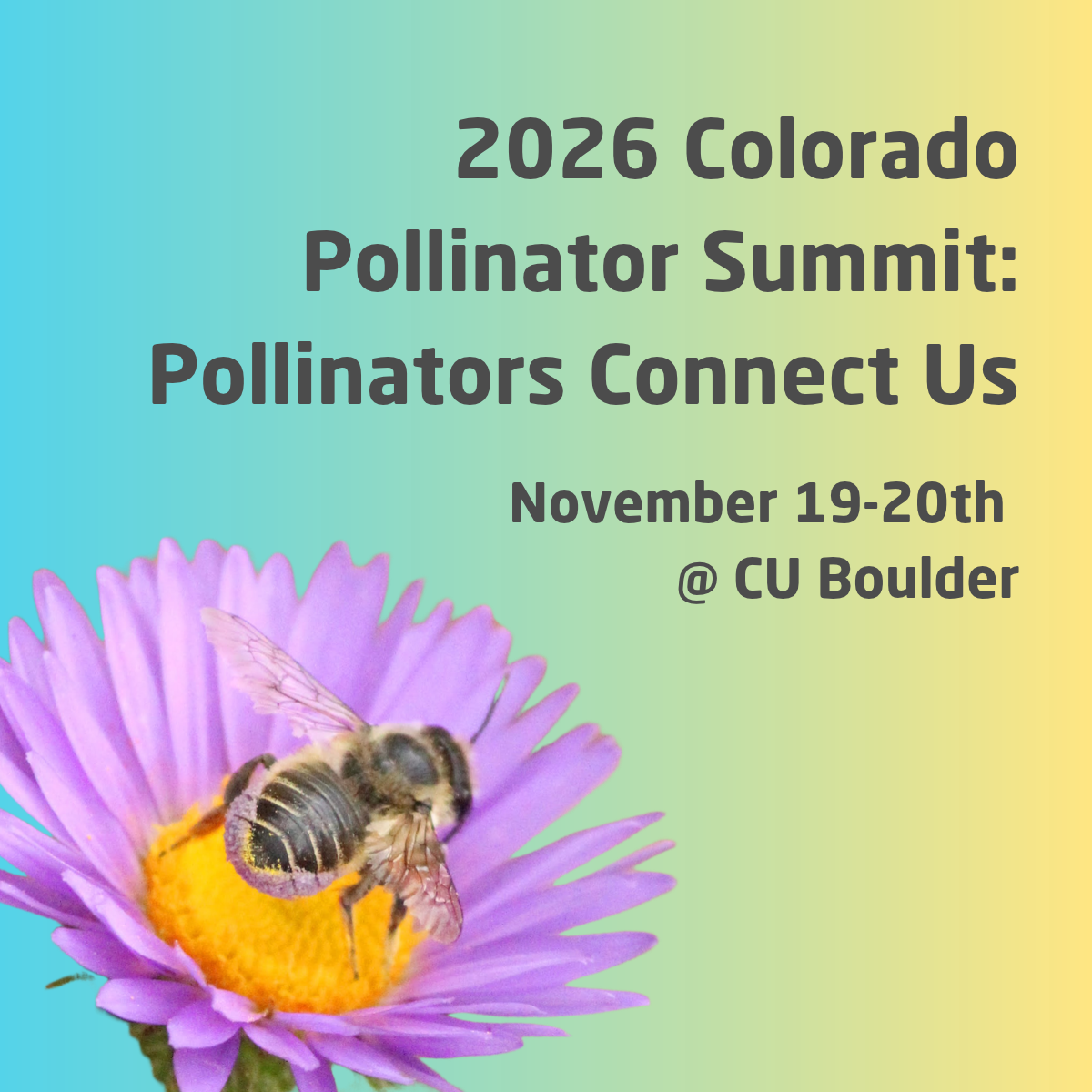 11th Annual Colorado Pollinator Summit