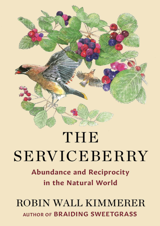 Screenshot 2025-06-23 at 12.56.45 PM.png