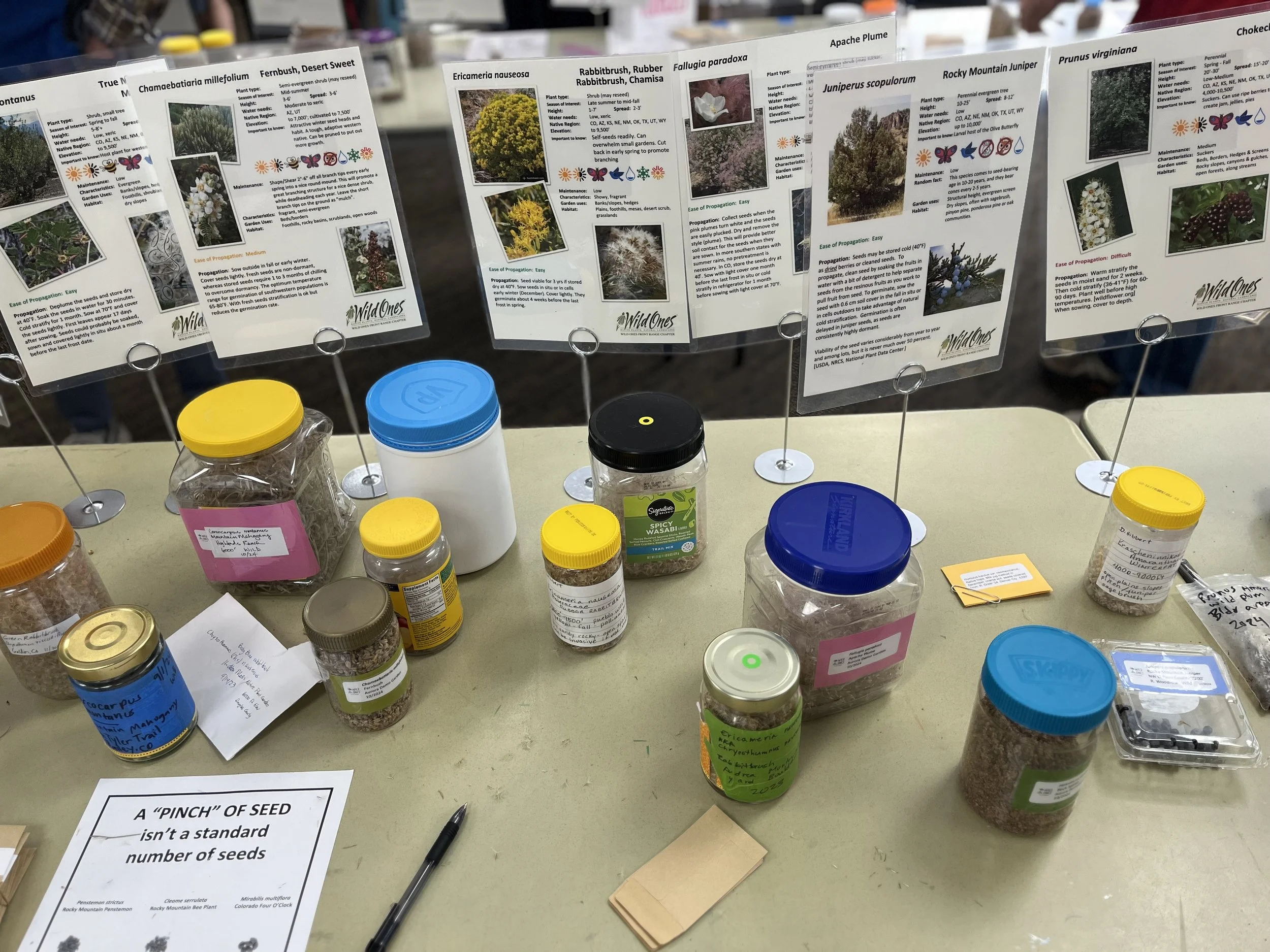 Seeds in various jars on a table with signs that describe the seeds using photos and their scientific name