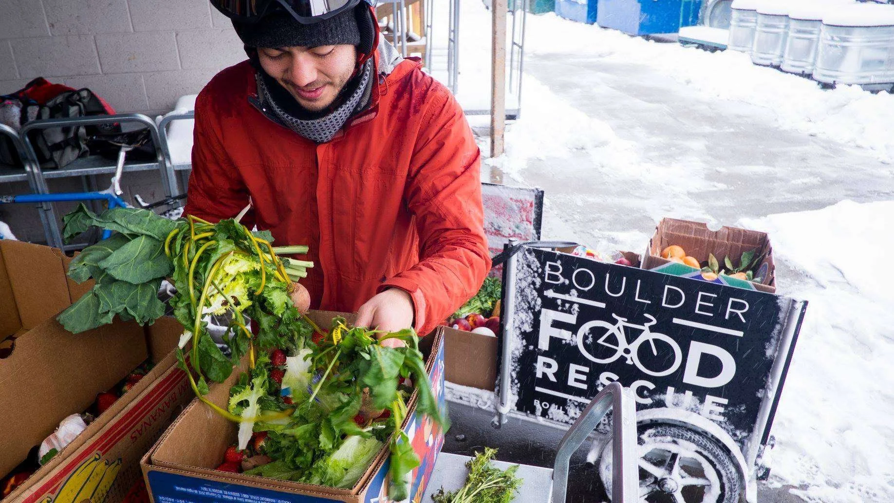Person volunteering with Boulder Food Rescue sorting produce to be delivered. 