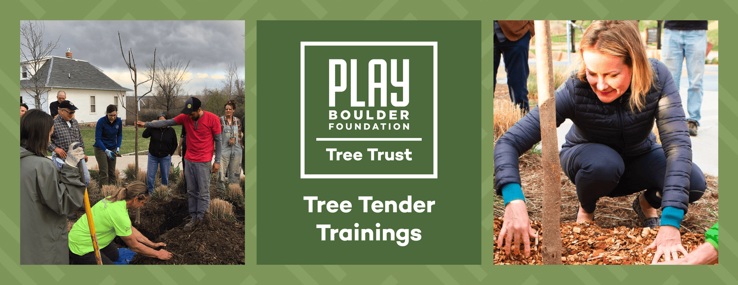 PLAY Boulder's Tree Tenders website header, with their logo and two images of volunteers planting trees.