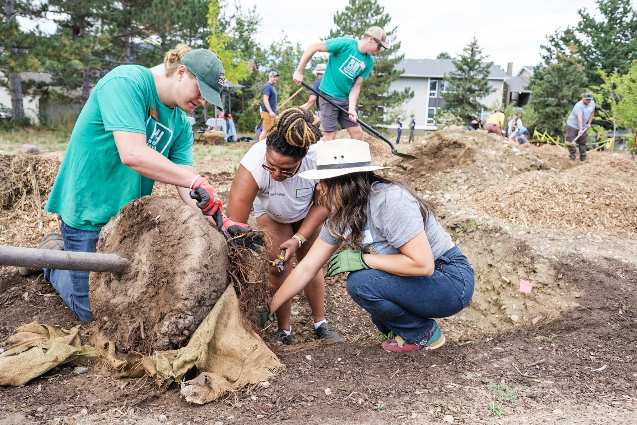 three people touching the roots of a tree and preparing to plant it