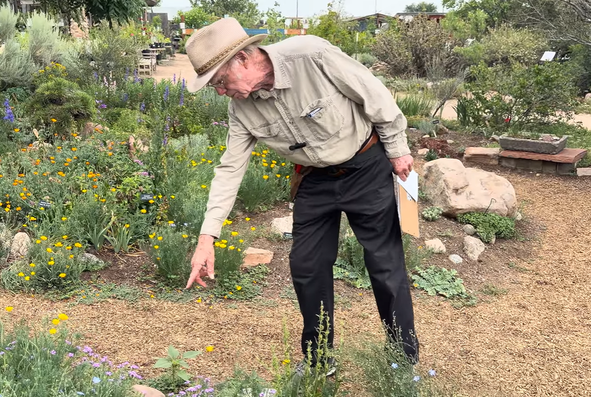 Mikl Brawner of Harlequin's Gardens giving a tour of his low water pollinator garden