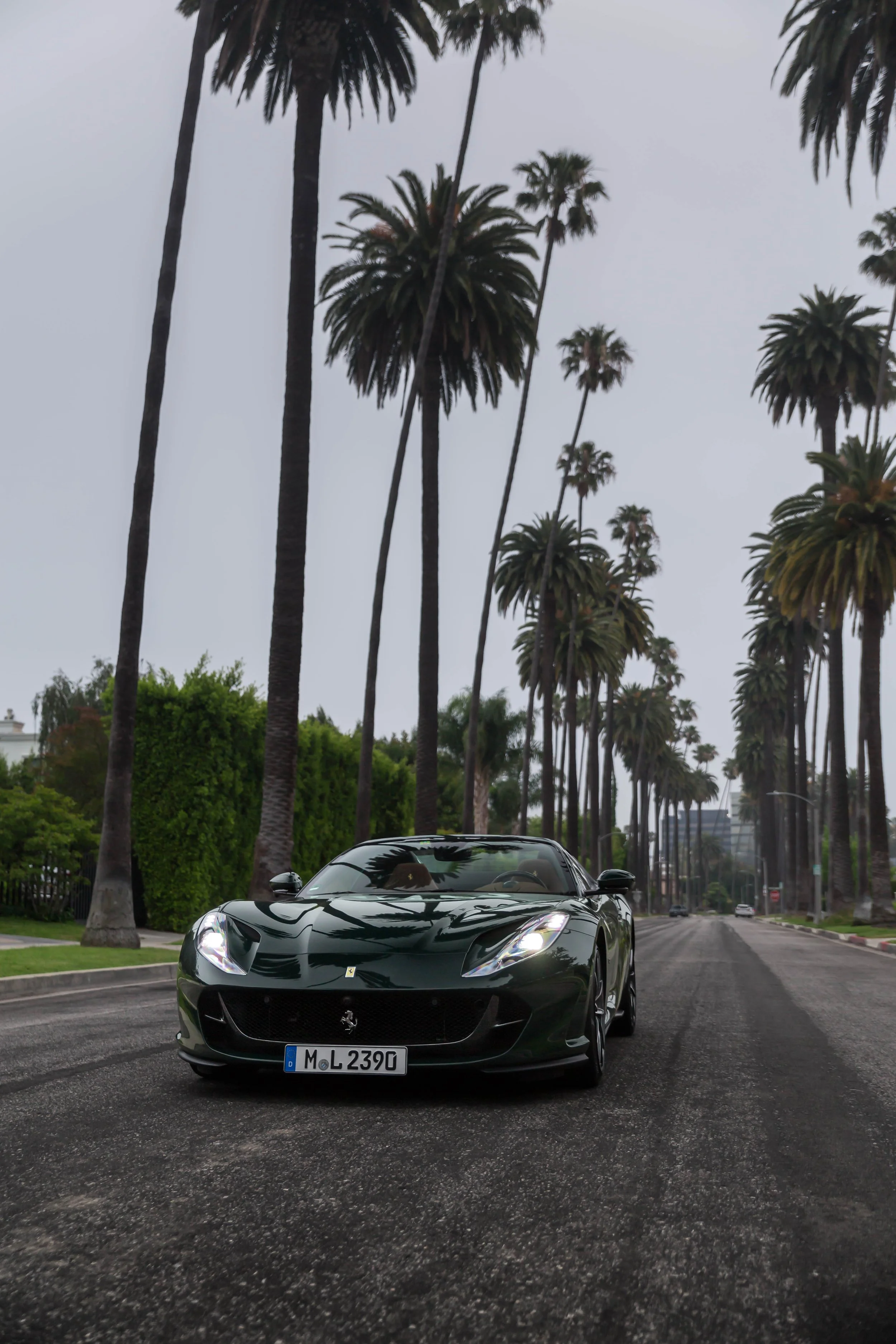 6W2A7236-Edit.jpg
