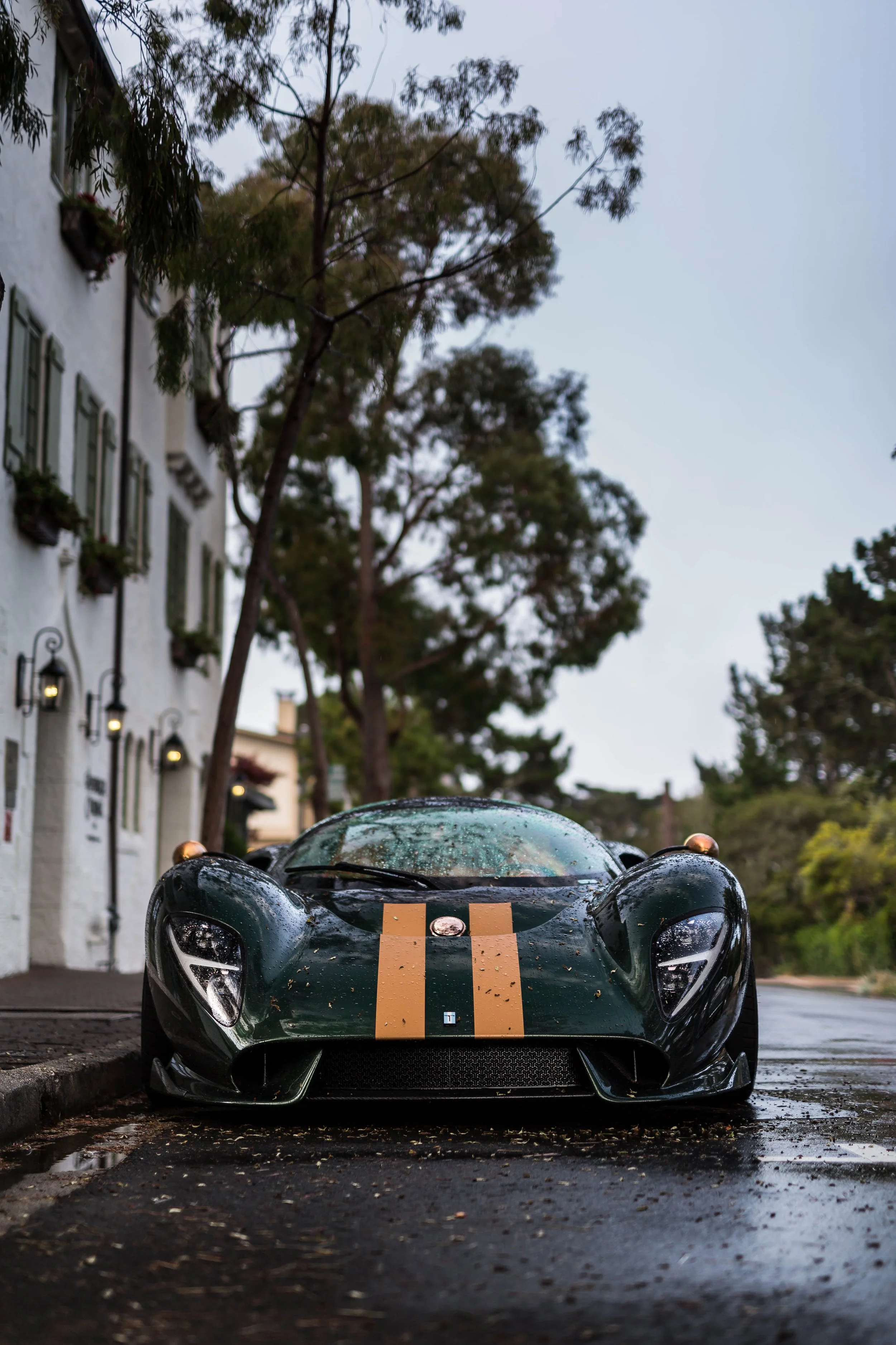 6W2A1114-Edit.jpg