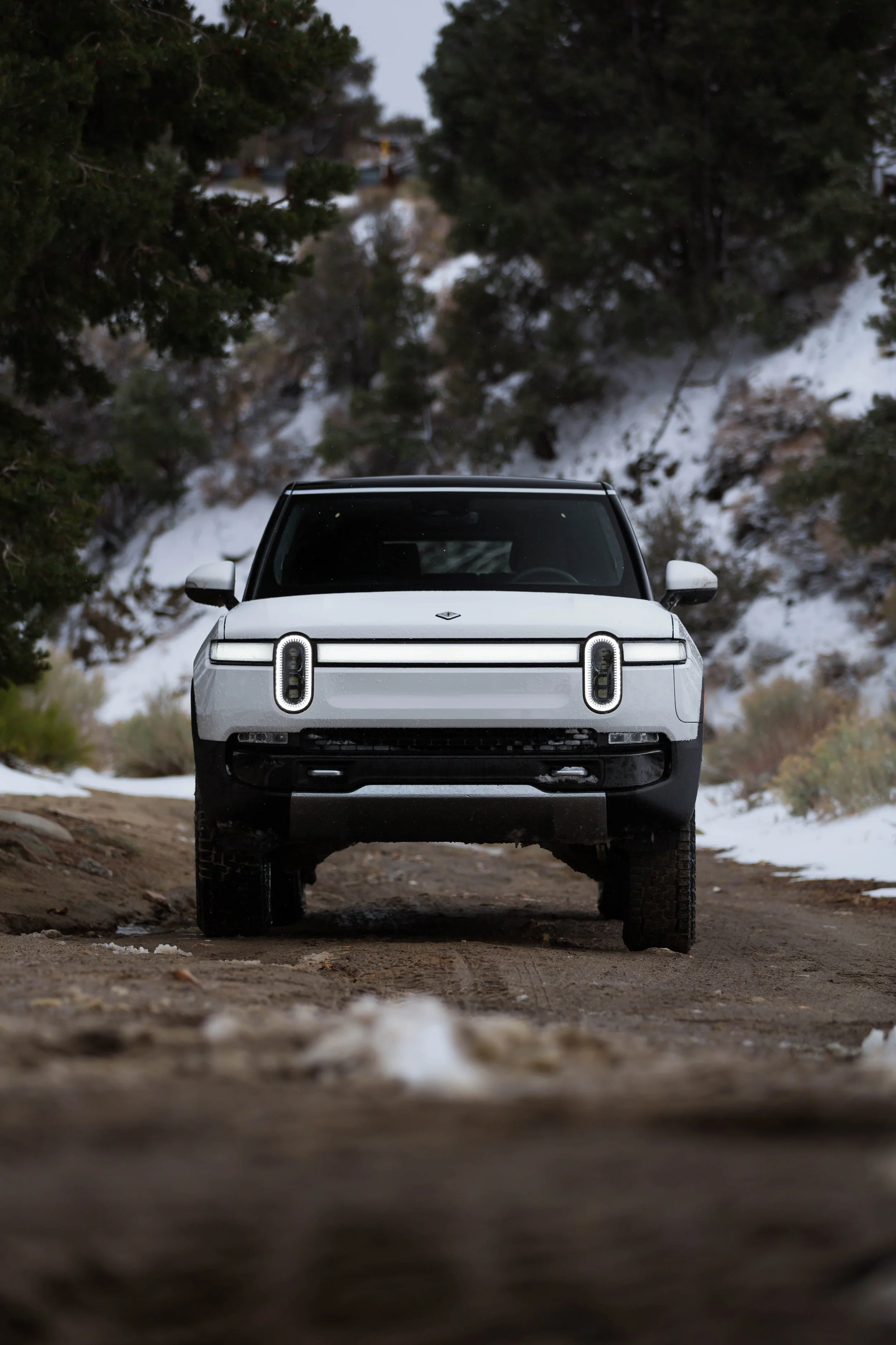 rivian-r1s-2.jpg