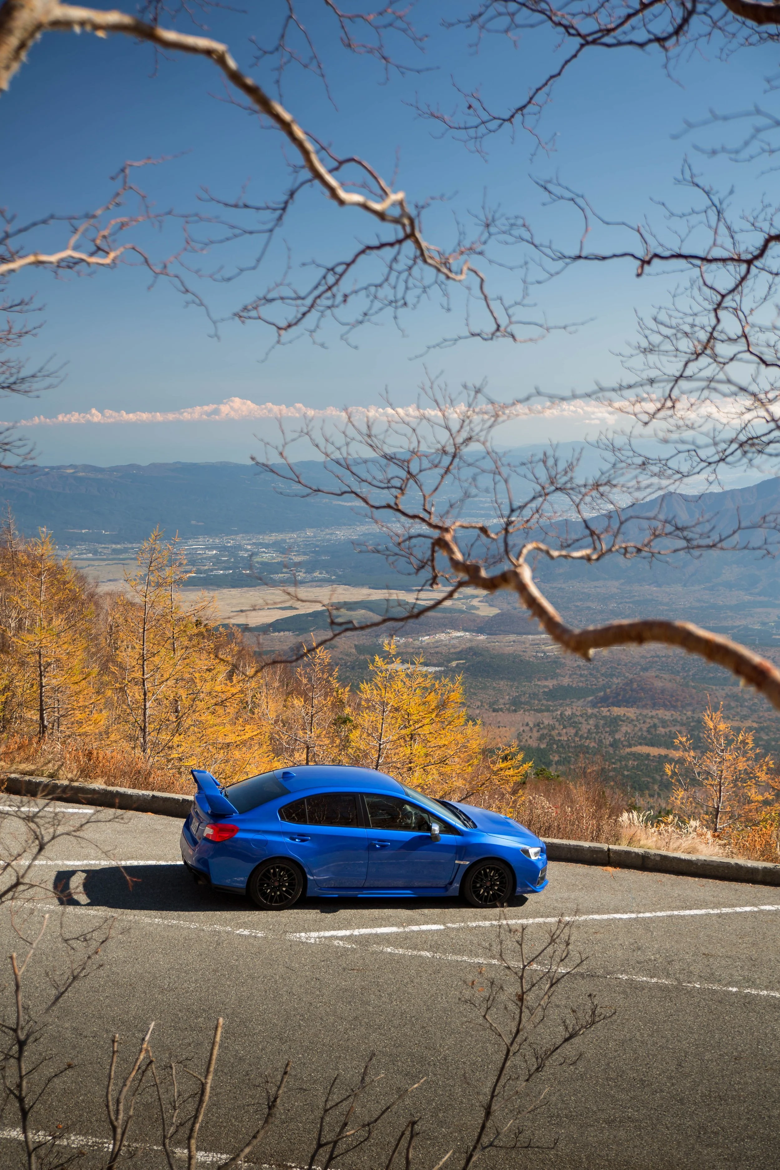 6W2A7487-Edit.jpg