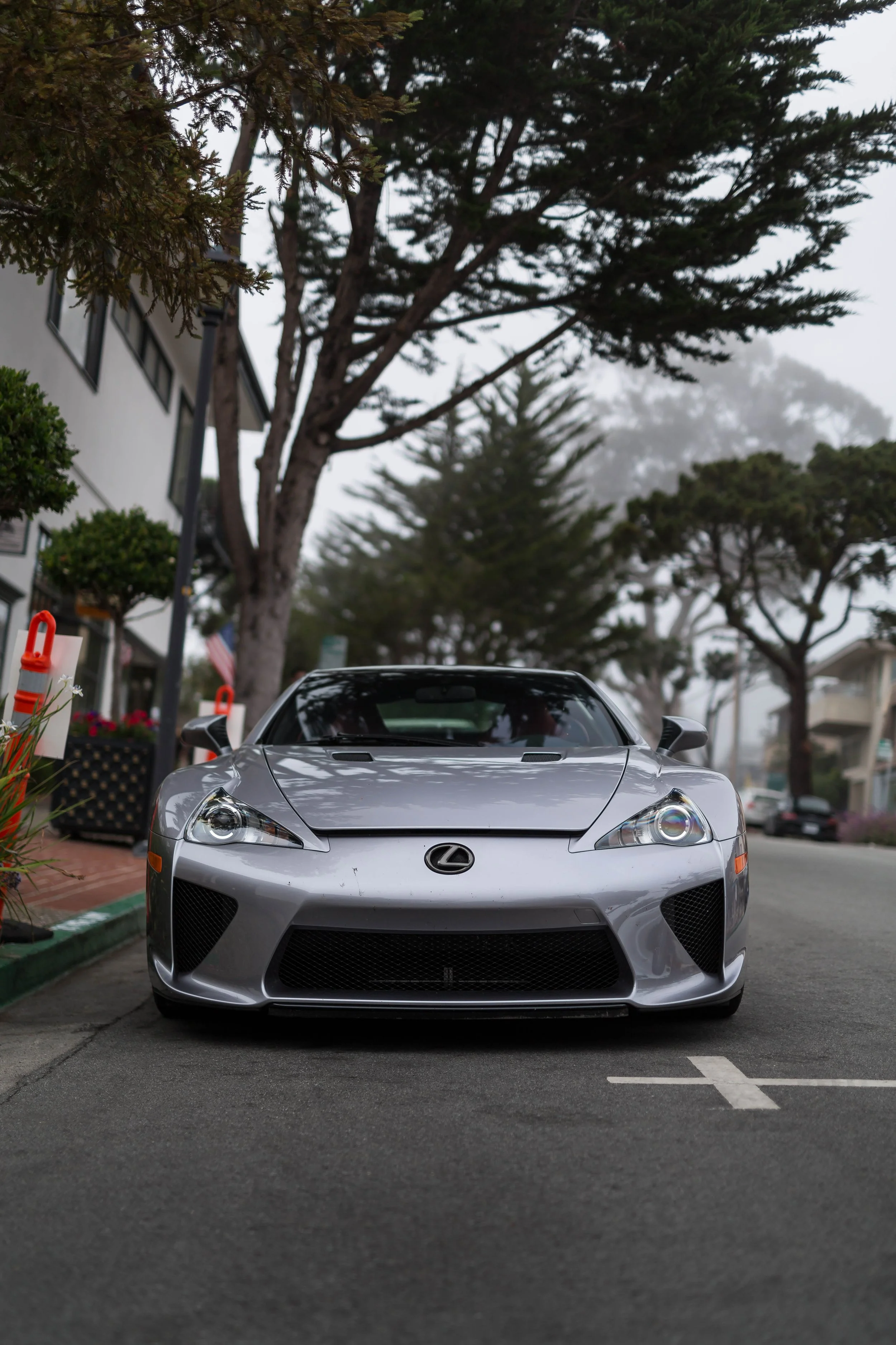 6W2A1431-Edit.jpg