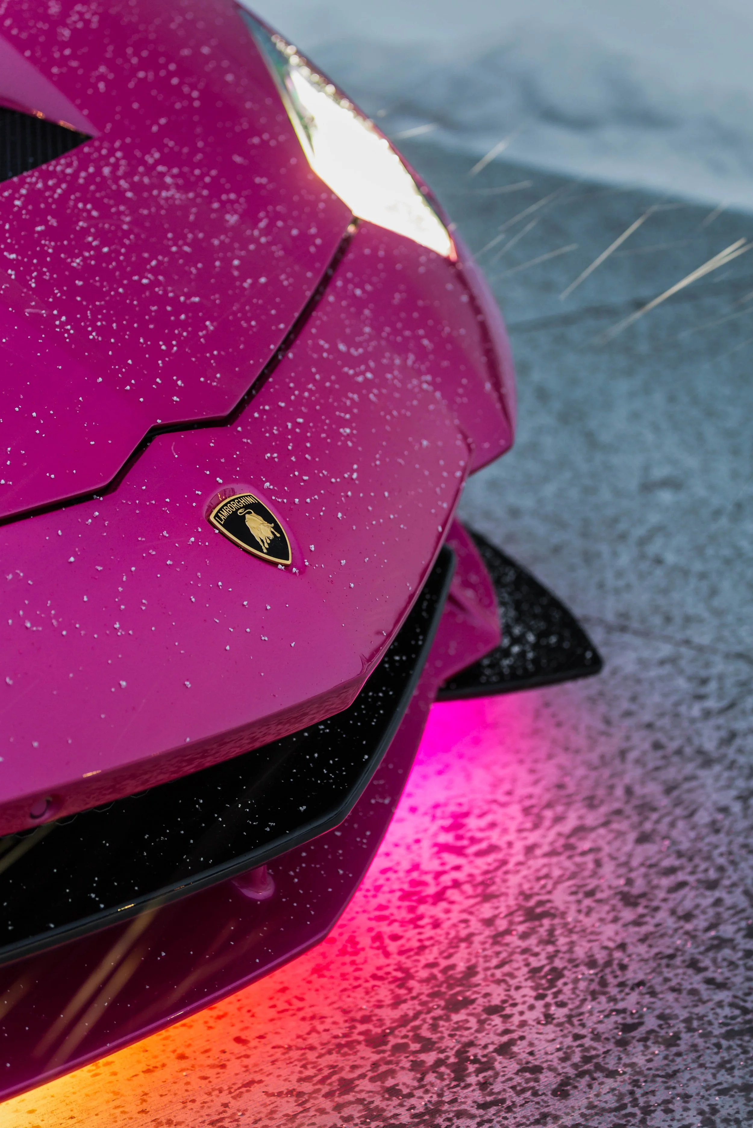 stradman-pink-lamborghini-3.jpg