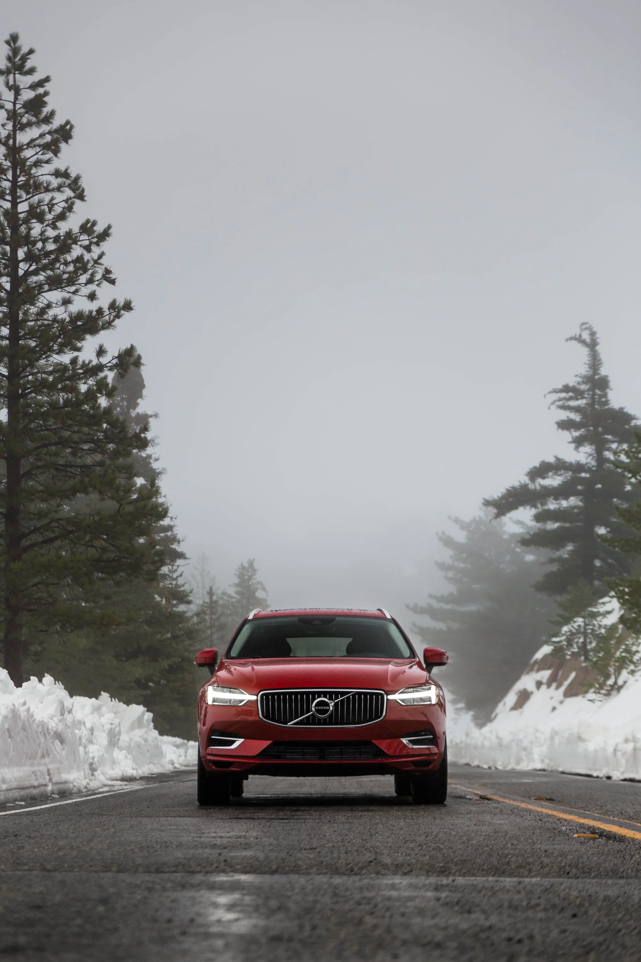 6W2A7591-Edit.jpg