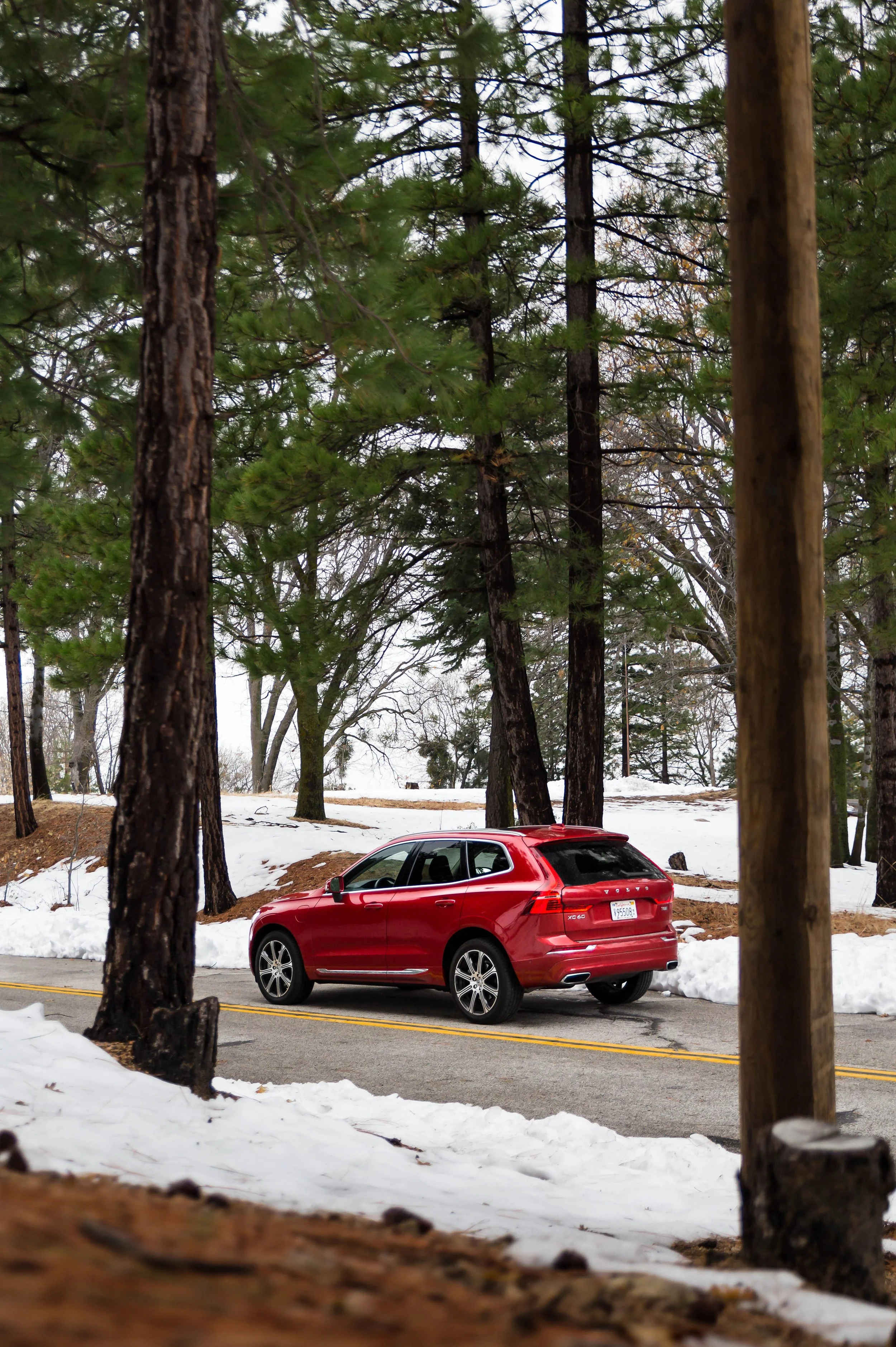 6W2A7633-Edit.jpg