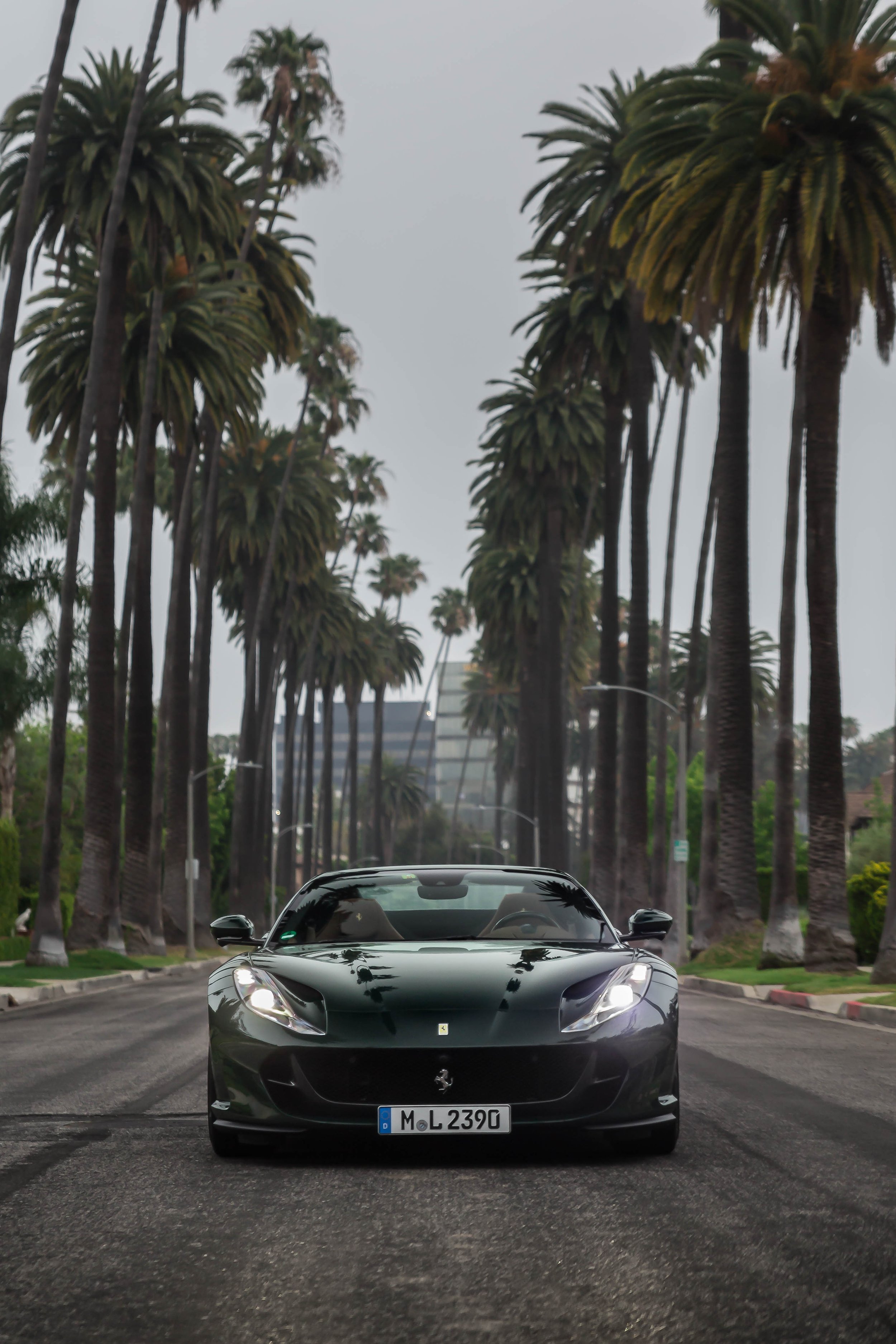 6W2A7210-Edit.jpg