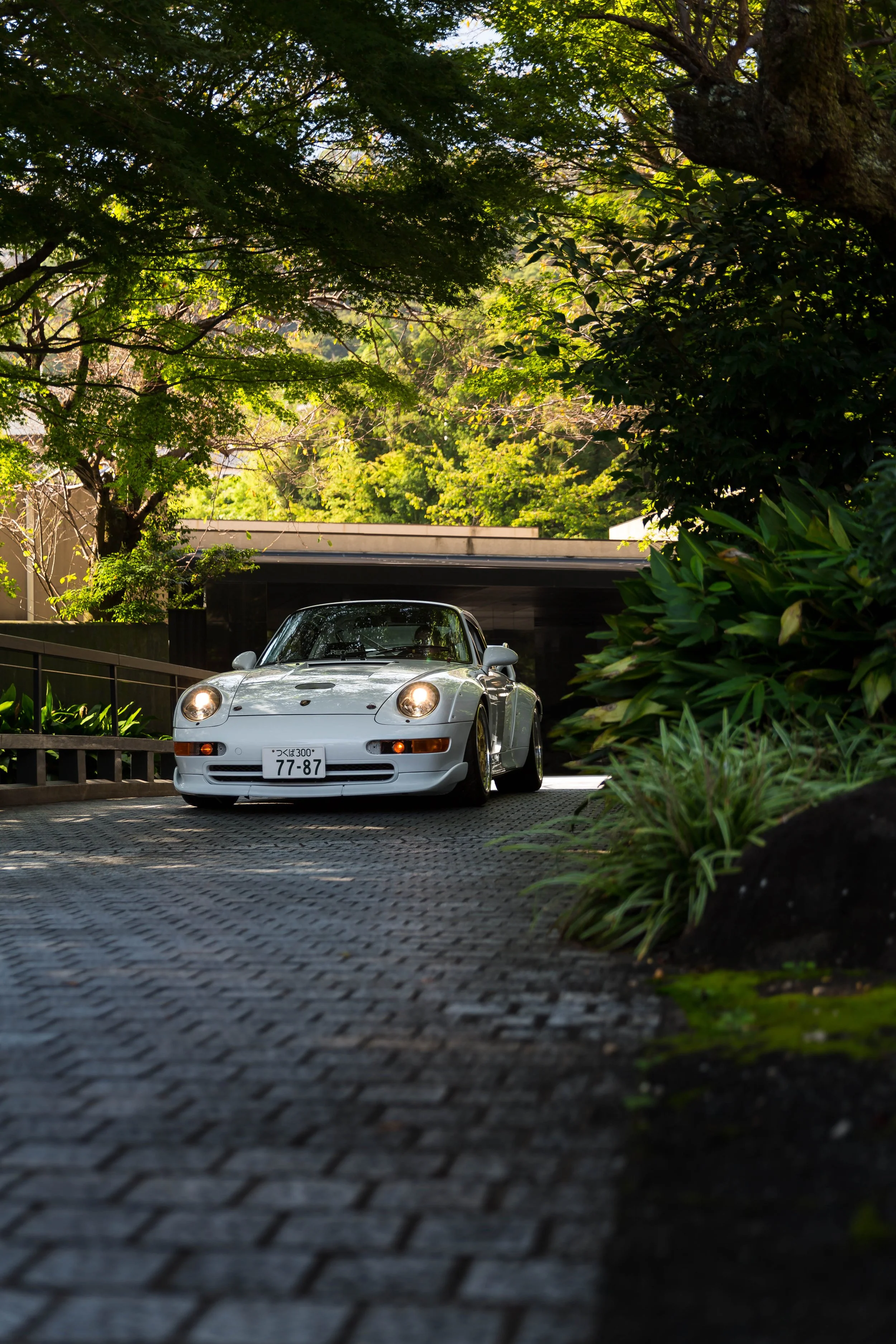 6W2A6280-Edit.jpg