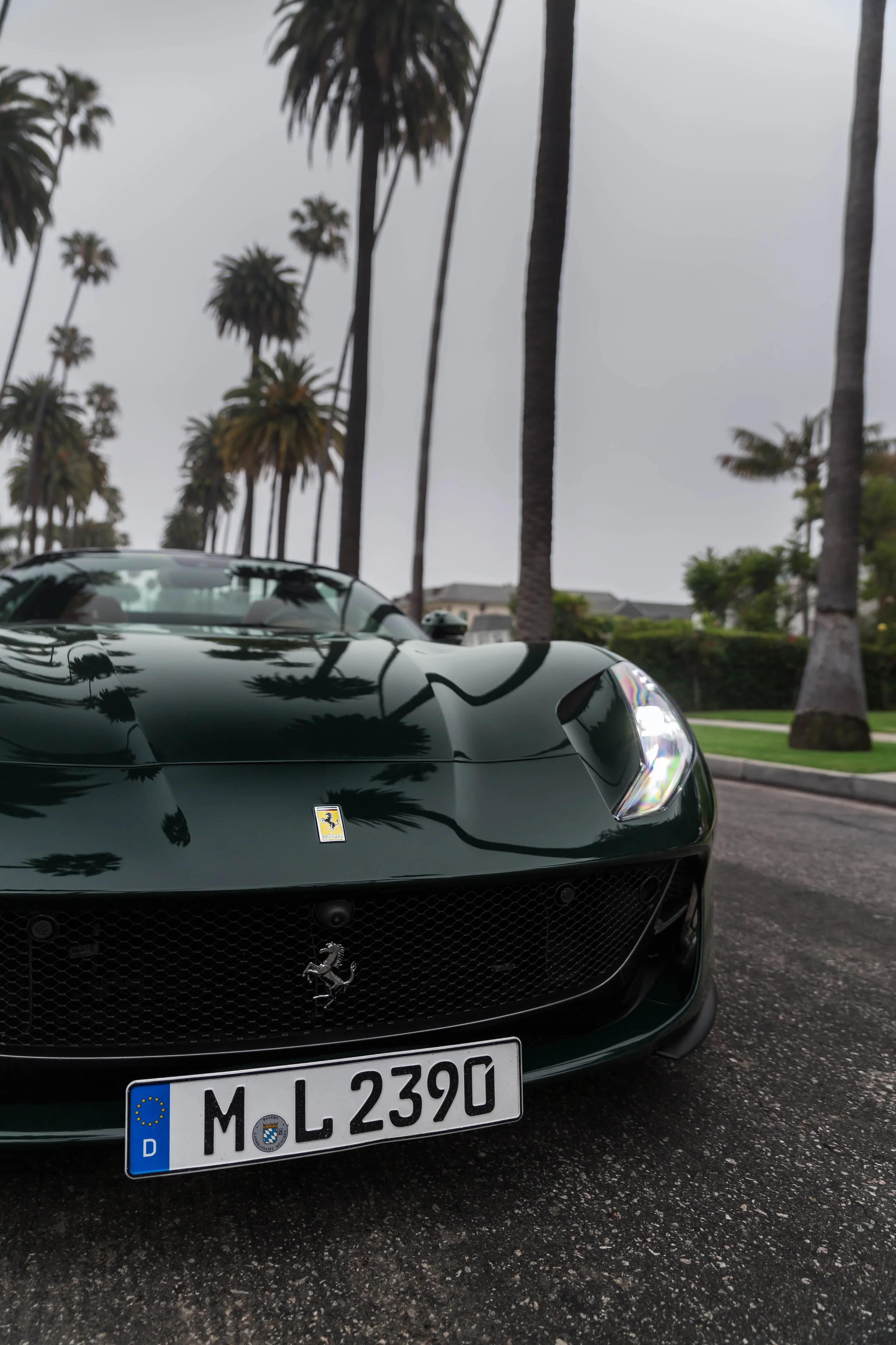 6W2A7240-Edit.jpg