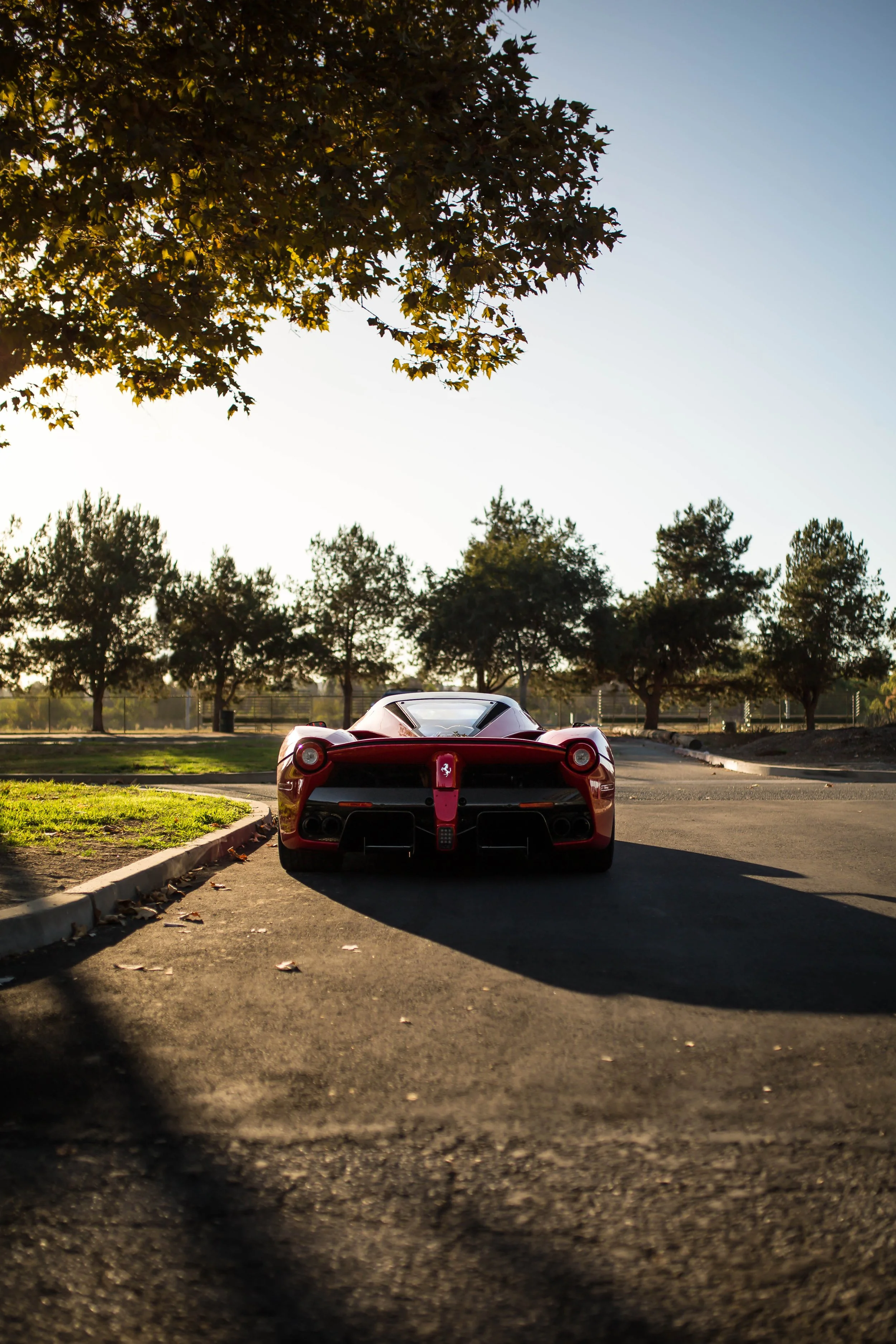 6W2A5953-Edit.jpg
