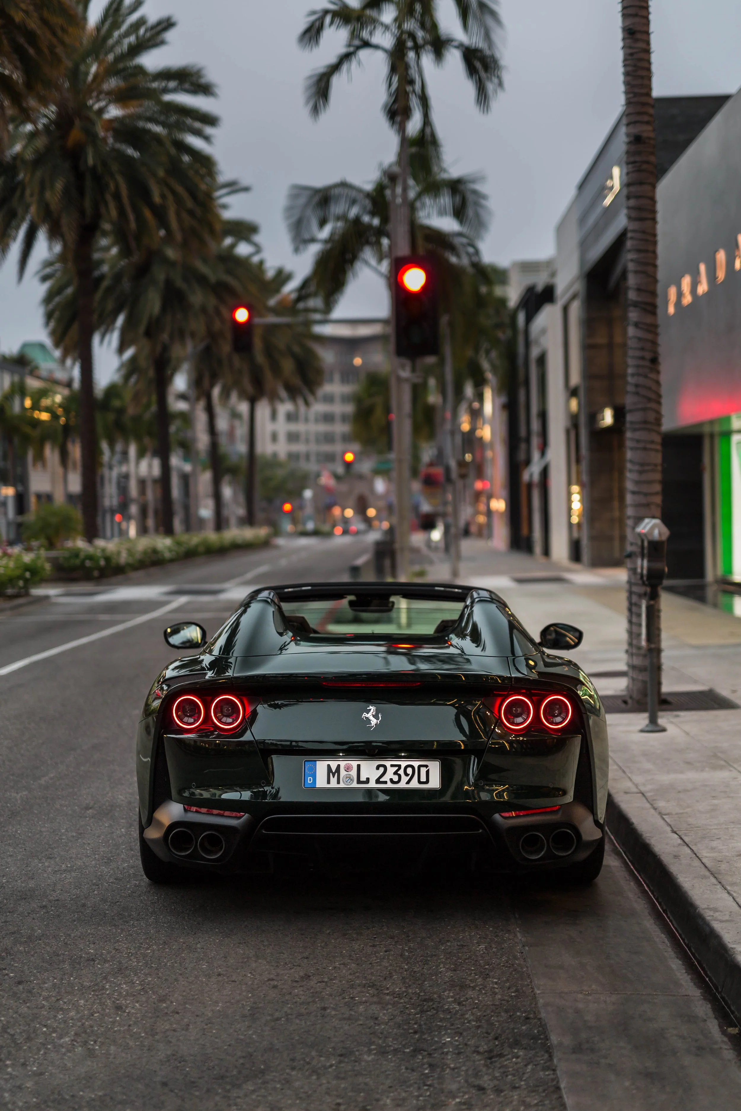 6W2A7184-Edit.jpg