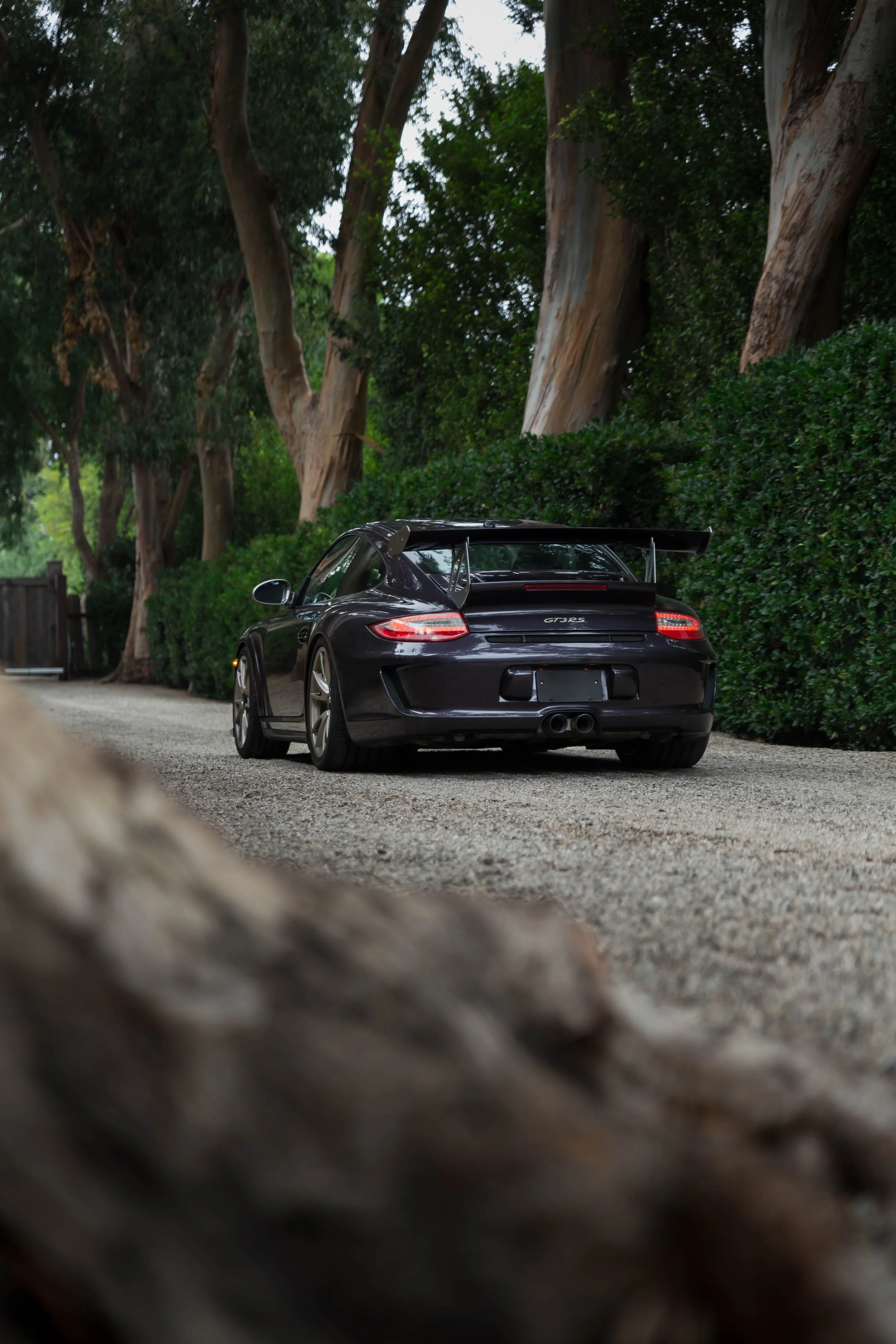 6W2A4096-Edit.jpg