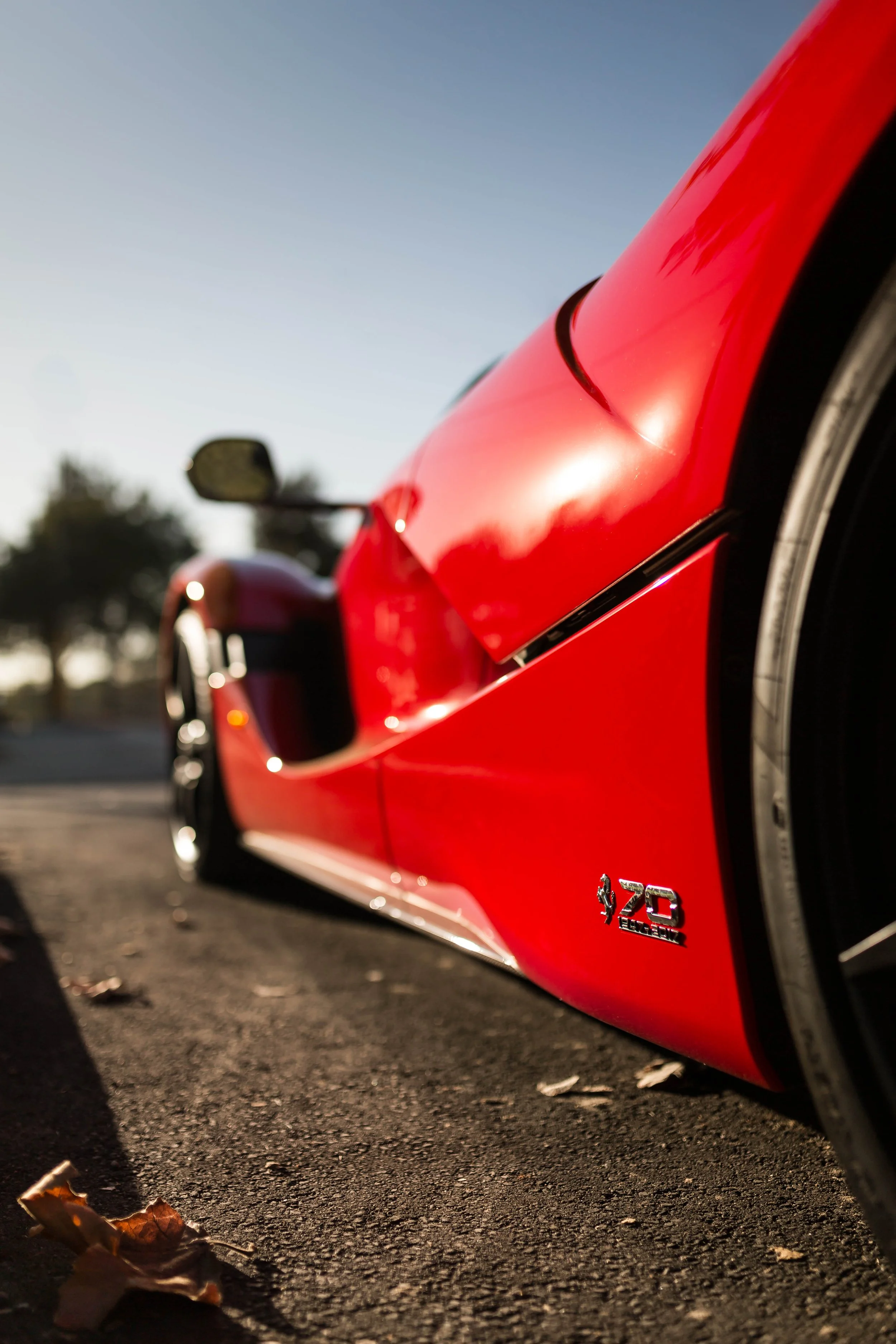 6W2A5982-Edit.jpg
