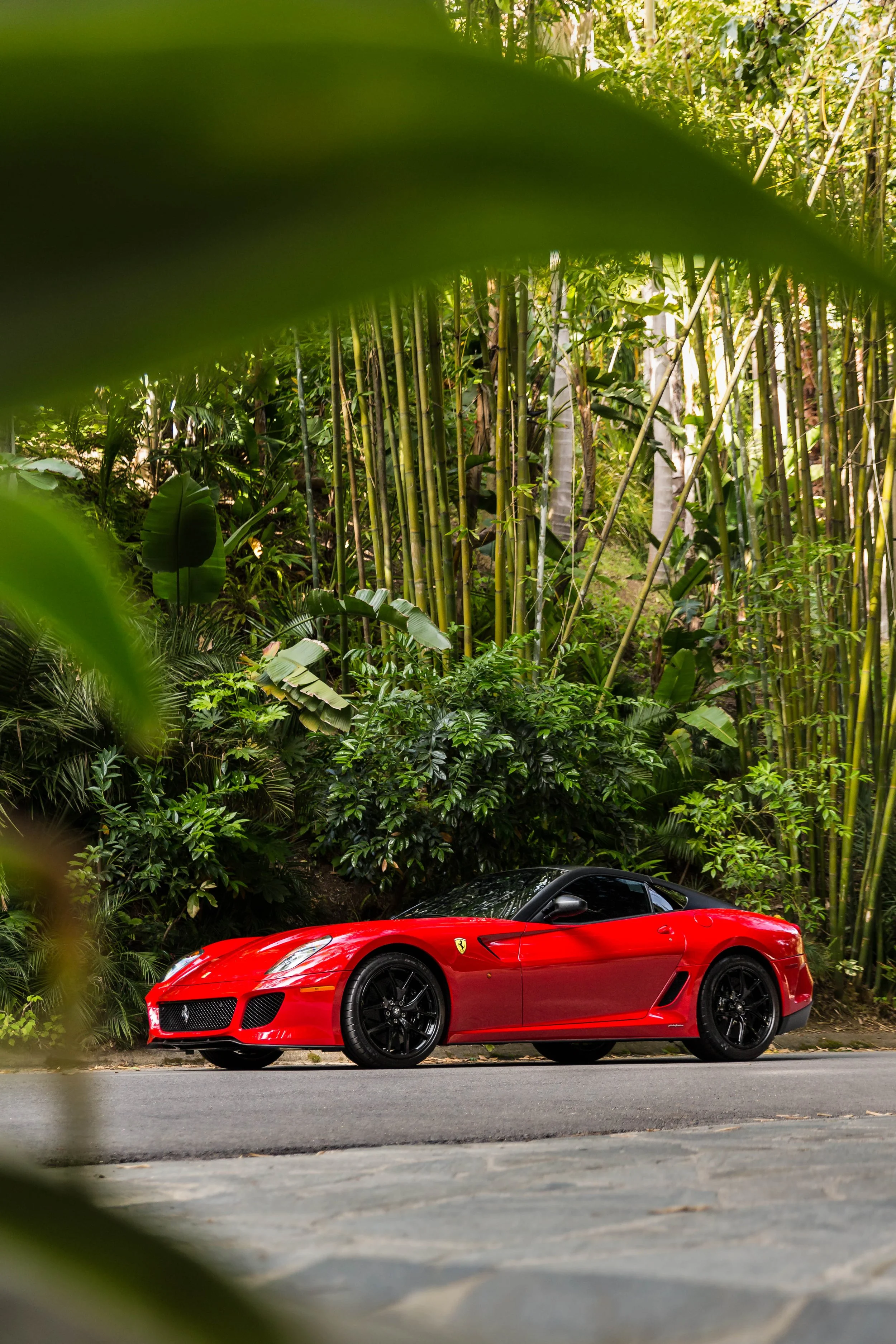 6W2A0906-Edit.jpg